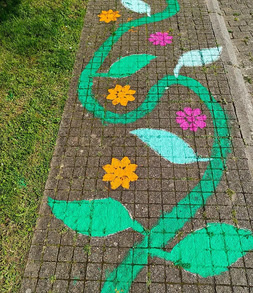 Een groene rank met oranje en roze bloemen slingert over het voetpad, een spoor om te volgen of over te balanceren.